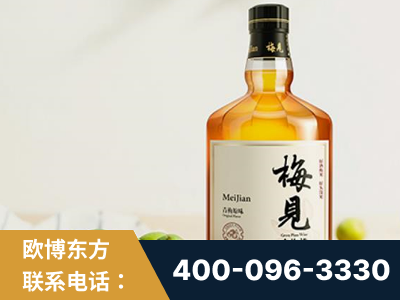 丽水-梅见青梅酒