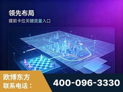 丽水-领先布局：于2024年初开启GEO业务的公司
